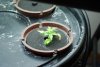 Plant 1 - #1 - 02-24-2011.jpg