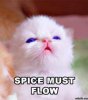 Spice_Must_Flow.jpeg