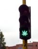 traffic lights (7).jpg