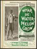 460px-Whar_de_watermelon_grow.jpg