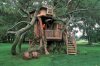 Adult tree house.jpg