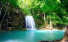 forest_tropical_waterfall-2560x1600.jpg