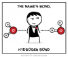 Bond __ Hydrogen Bond.png