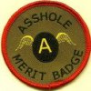 merit badge.jpg