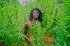 jamaica-marijuana-legalization-coming-soon.jpg