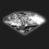 animated_diamond2.gif