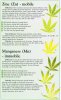 zinc-zn-manganese-mn-marijuana-weed-nutrient-problem.jpg