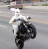 279easter-bunny-motorcycle.jpg