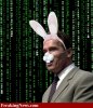 Funny John Kerry Photo as Rabbit 2.jpg