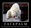 Polar-Bear-Facepalm-meme-vVPG.jpeg