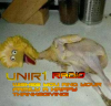 thanks-giving-unir1-bigbird-radio.png