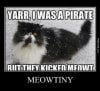 funny-pirate-cat.jpg