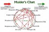 -afbeeldingen-bodem_en_structuur-Mulders_Chart2.jpg