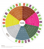 Leafly-Cannabis-Terpene-Wheel-Infographic.png