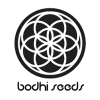 bodhi_seeds[1].png