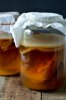 How-to-Grow-a-Scoby-DSC_0787.jpg
