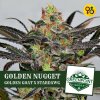 golden-nugget-golden-goat-stardawg-strain-greenpoint-seeds (1).jpg