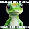 geico-gekko-switch-cannabis-weedmemes.jpg