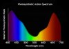 Photosynthetic Action Spectrum.jpg