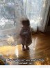 Funny-little-girl-playing-hide-and-seek.jpg