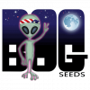 logo-bog-seeds.png