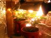my plants 017.jpg