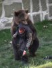 dumb azz! dats wat happens when you step into the ring with a bear!.jpg