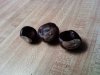chestnuts.jpg