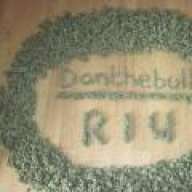 Danthebull