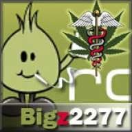 Bigz2277