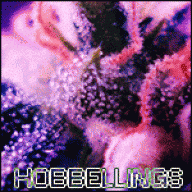 HobBellings