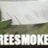 TreeSmoker.com