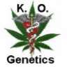 KnockOutGenetics420