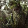Treebeard_eire