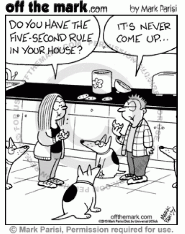 5 Second Dog Rule - off the mark cartoons