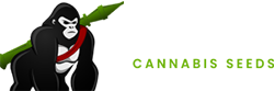 www.gorilla-cannabis-seeds.co.uk