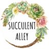 succulentalley.com
