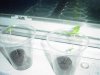 plants 001.jpg