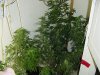 DSC00318.jpg