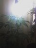 05-13-08_1406.jpg