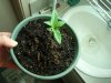 Garden 303.jpg