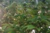 IMAG0078.jpg