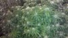 2011-01-26_19-10-54_395.jpg