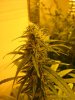 28Days@11.5-12.5 004.jpg