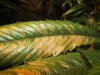 DSCF5722.jpg DSCF5722.jpg