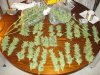 DSC01007.jpg