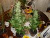 DSC00939.jpg