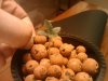 2011-02-01 18.54.05.jpg