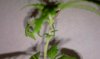 IMAG0163.jpg