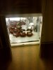 fone pics 061.jpg